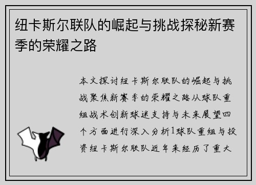 纽卡斯尔联队的崛起与挑战探秘新赛季的荣耀之路